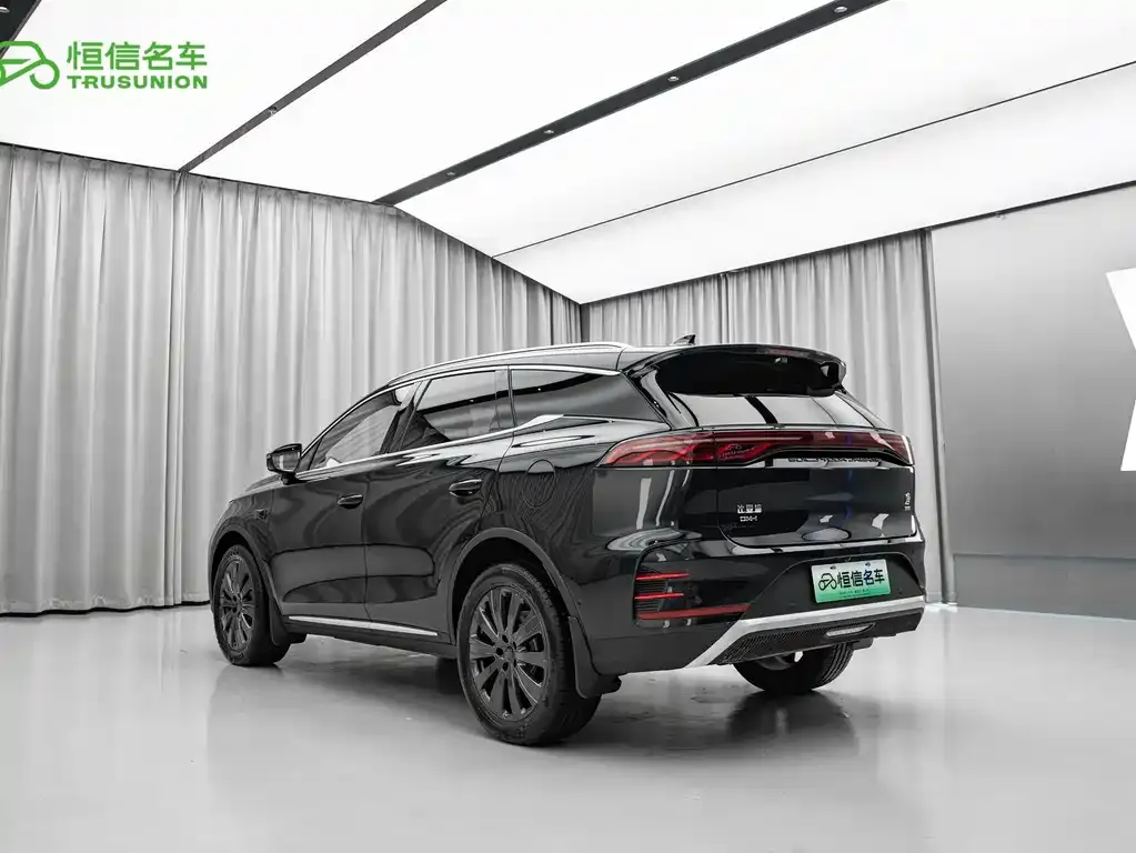 BYD Tang New Energy — фото 4