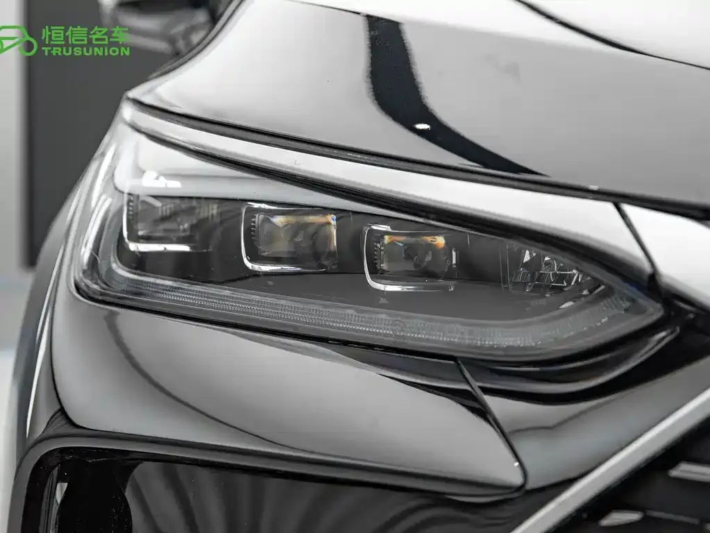 BYD Tang New Energy — фото 10