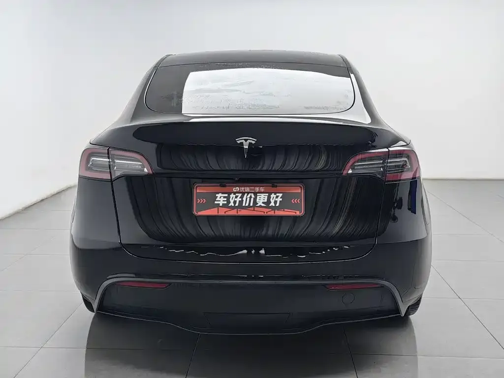 Tesla Model Y — фото 10