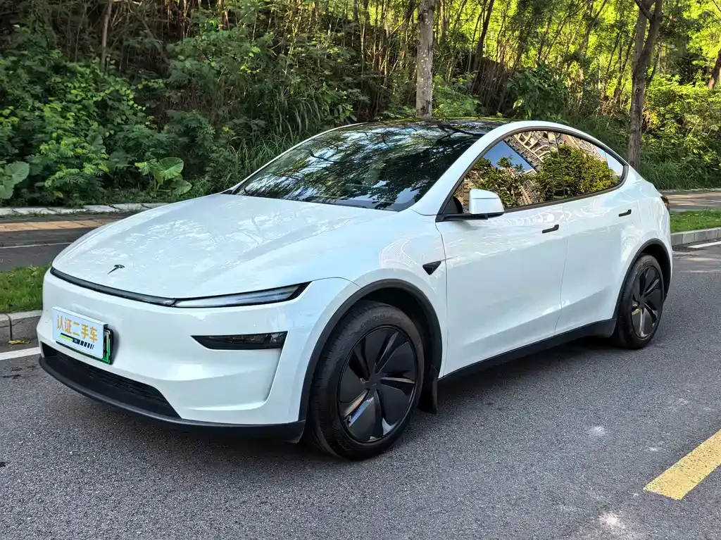 Tesla Model Y — фото 1