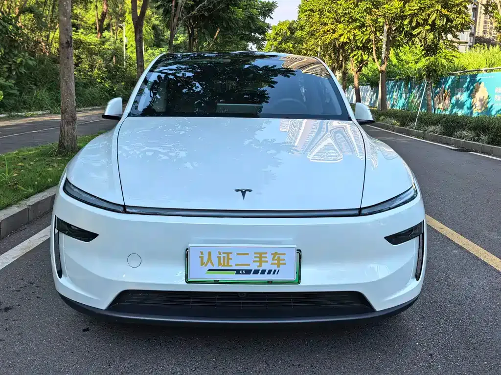 Tesla Model Y — фото 8