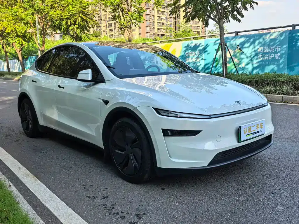 Tesla Model Y — фото 9
