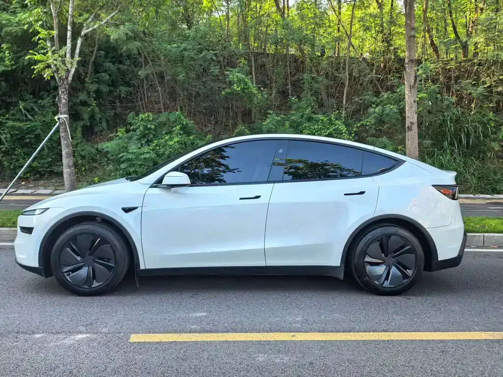 Tesla Model Y — фото 10