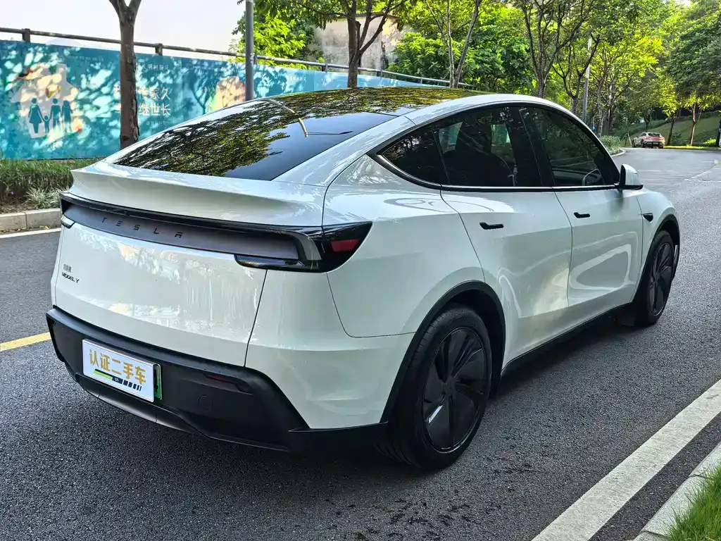 Tesla Model Y — фото 3