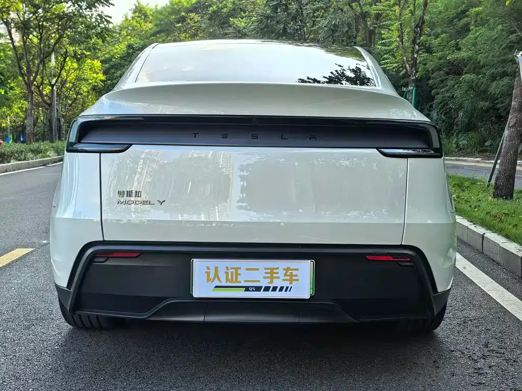 Tesla Model Y — фото 2