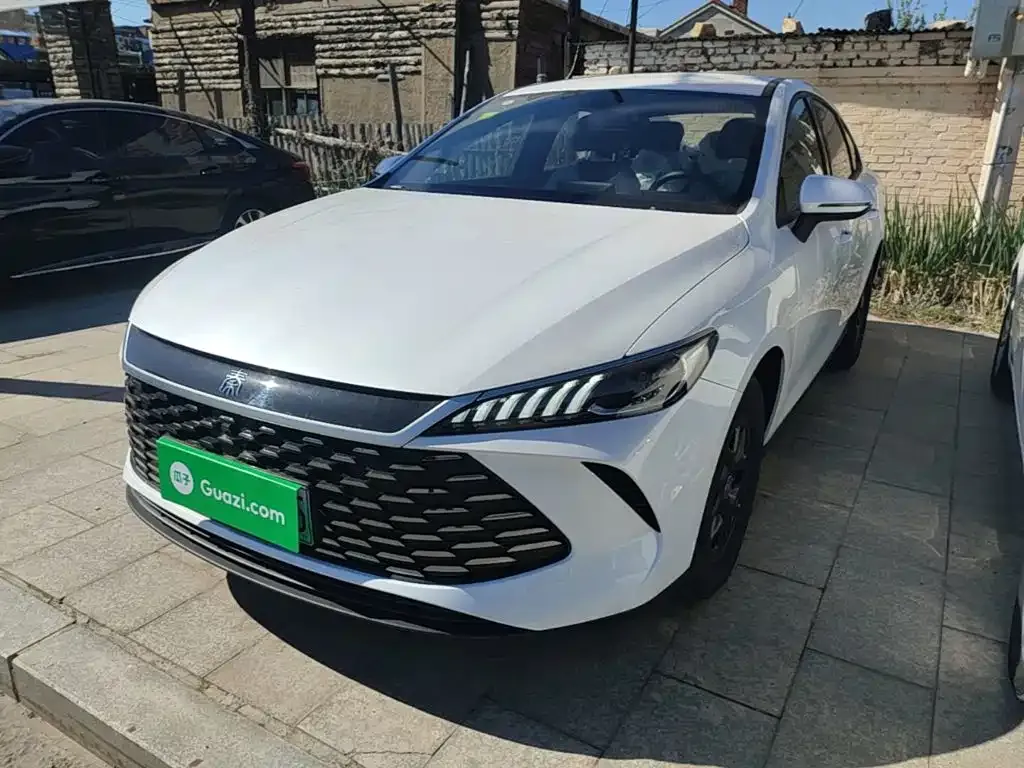 BYD Qin PLUS — фото 1