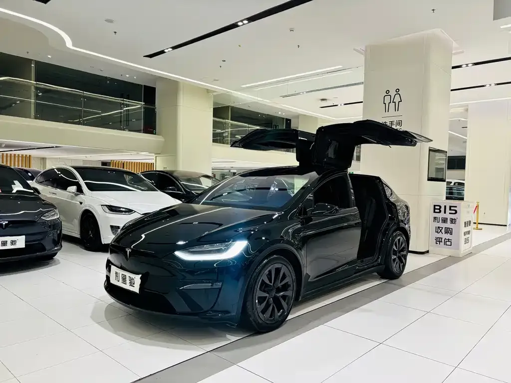 Tesla Model X — фото 1