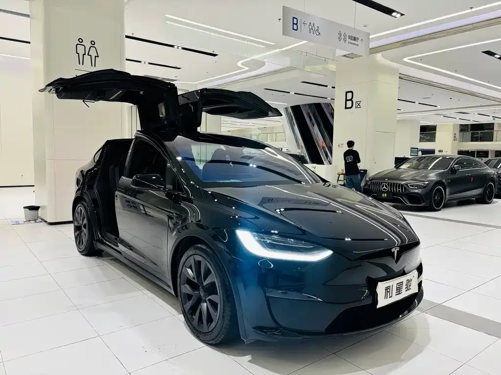 Tesla Model X — фото 6