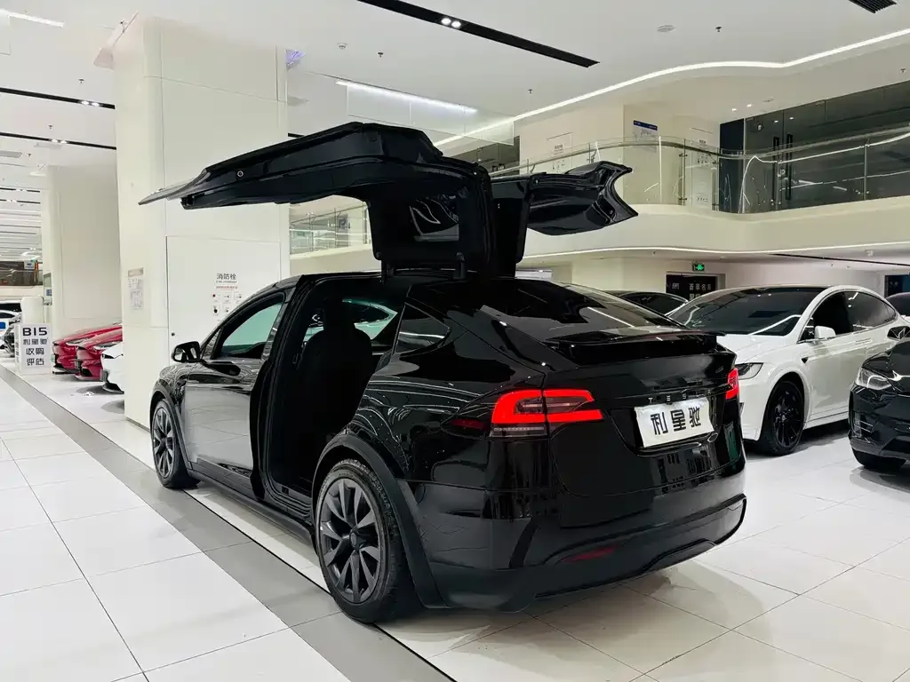 Tesla Model X — фото 7