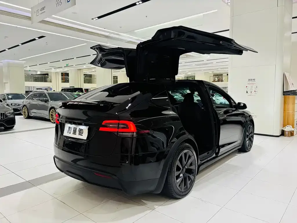 Tesla Model X — фото 4