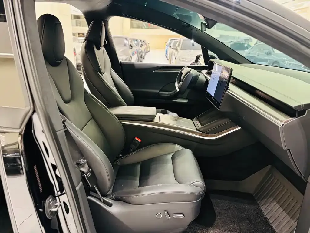 Tesla Model X — фото 10