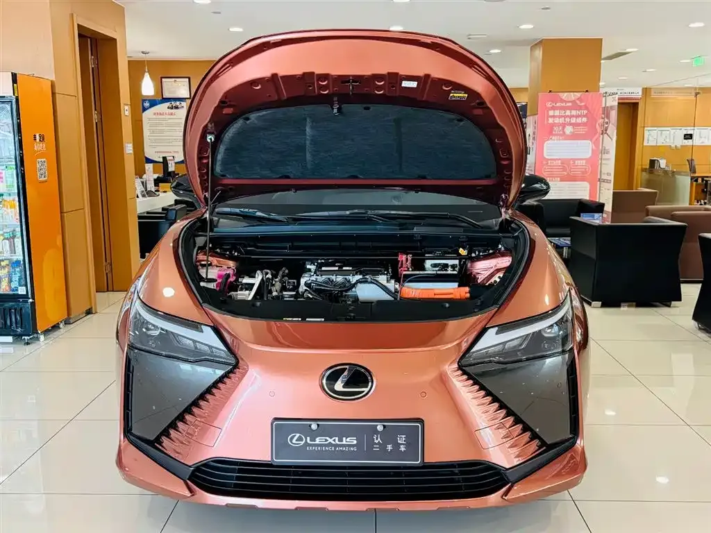 Lexus RZ — фото 3