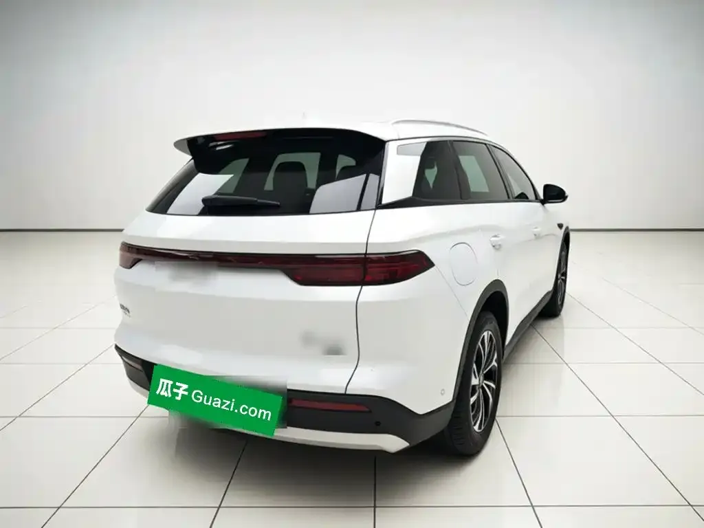BYD Pro New Energy — фото 8