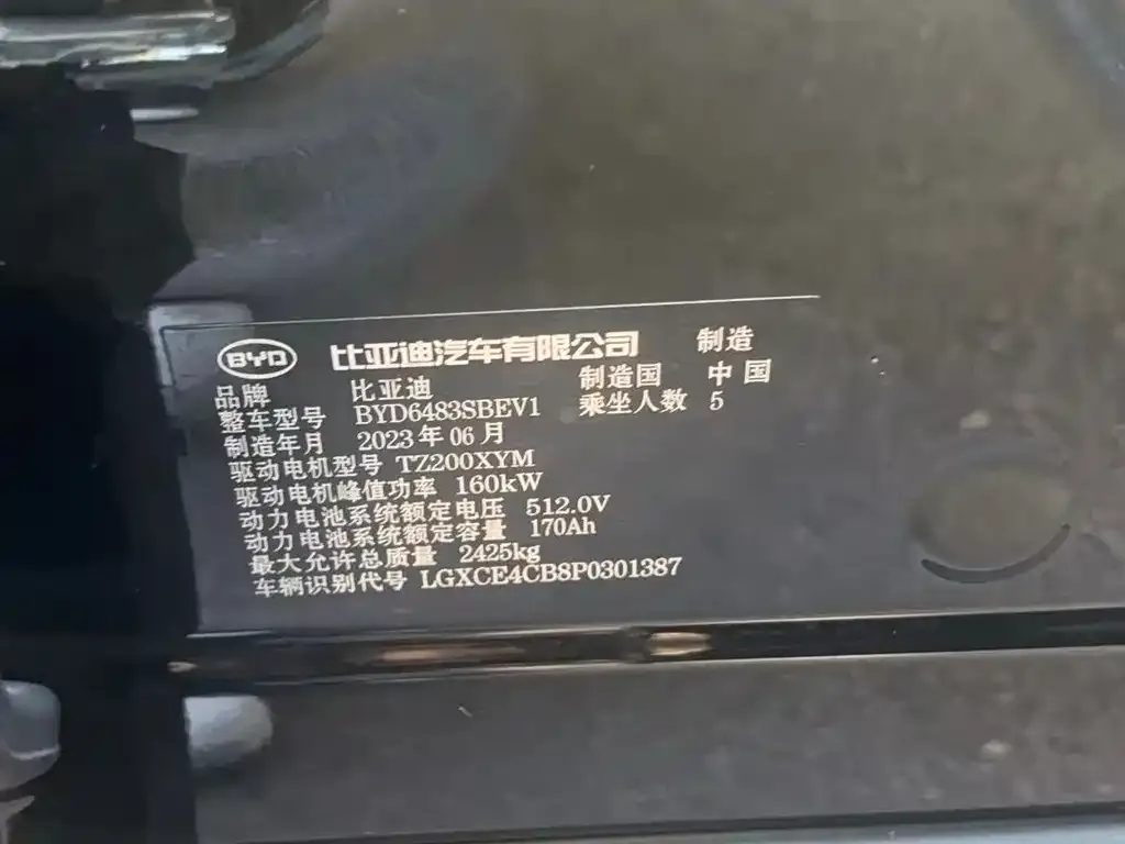 BYD PLUS New Energy — фото 2