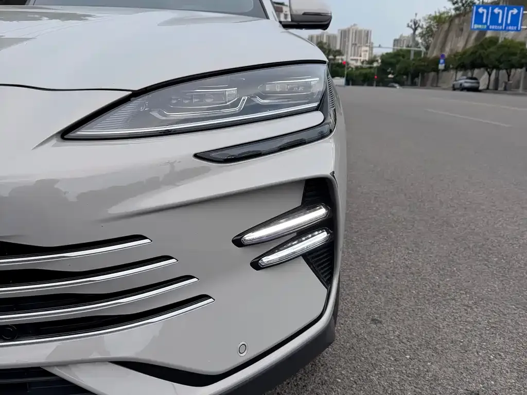BYD PLUS New Energy — фото 2