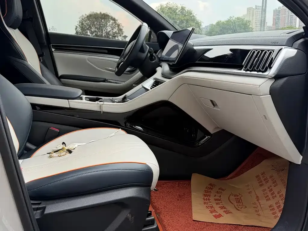 BYD PLUS New Energy — фото 10