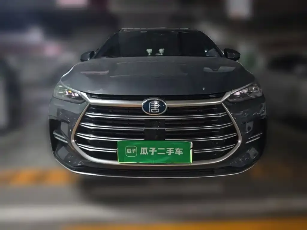 BYD Tang New Energy — фото 4