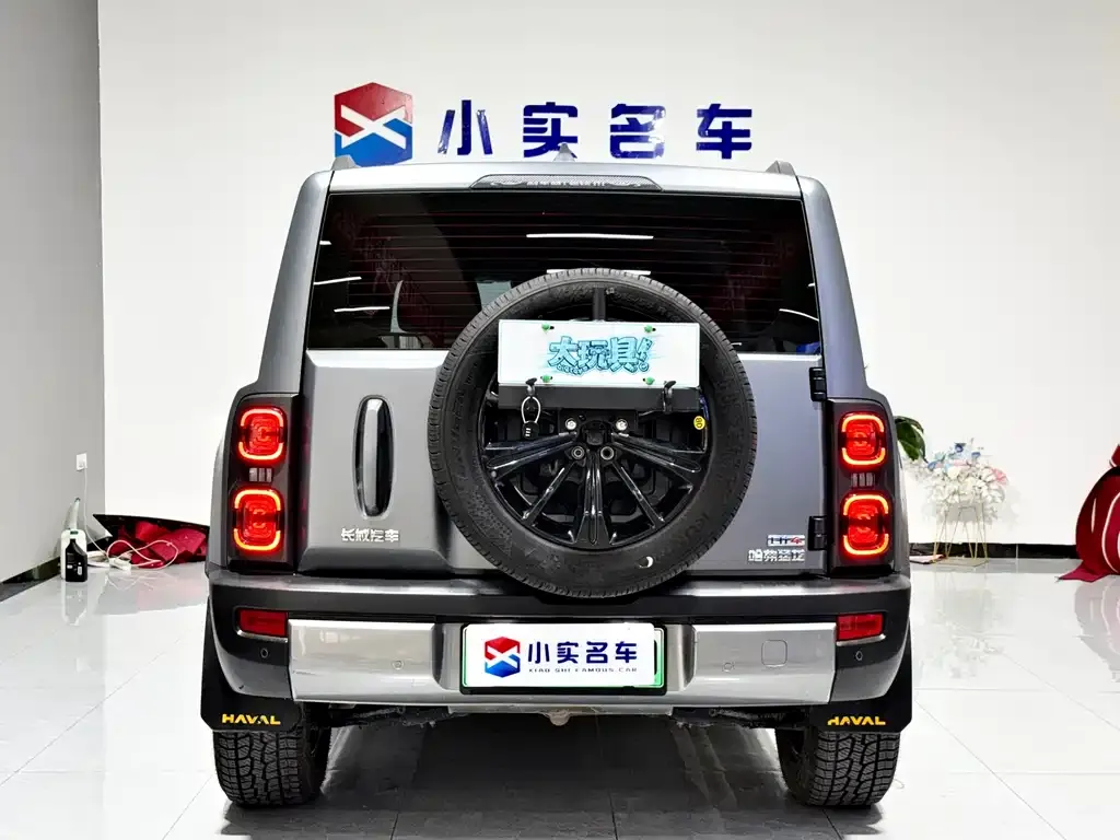 Haval Menglong New Energy — фото 4