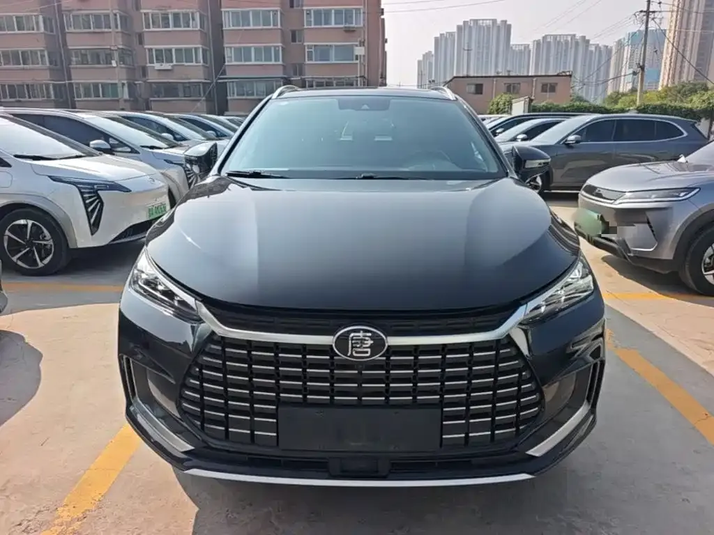 BYD Tang New Energy — фото 9