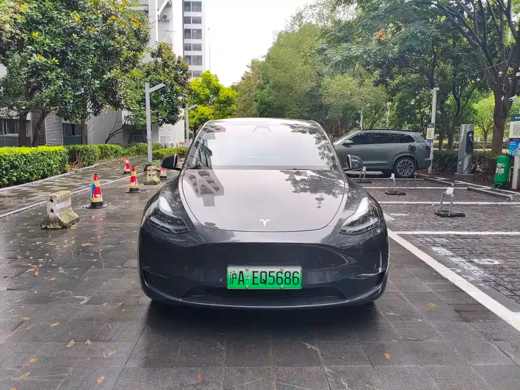 Tesla Model Y — фото 8