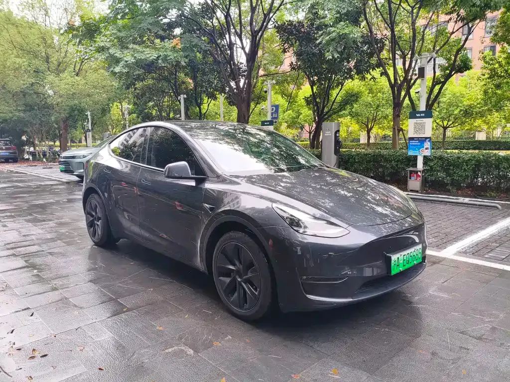 Tesla Model Y — фото 5