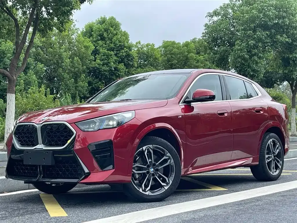 BMW X2 (Import) — фото 1