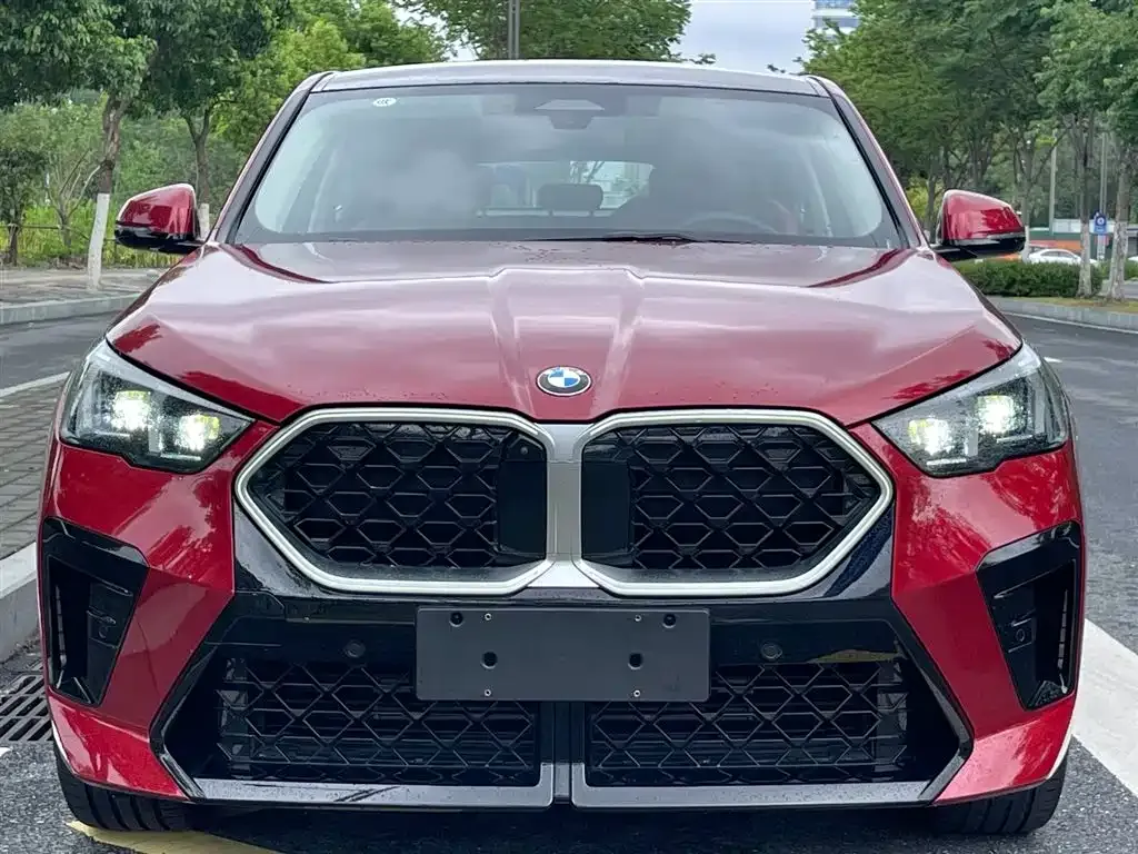 BMW X2 (Import) — фото 9