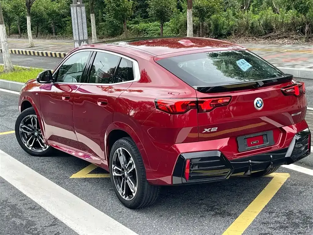 BMW X2 (Import) — фото 8