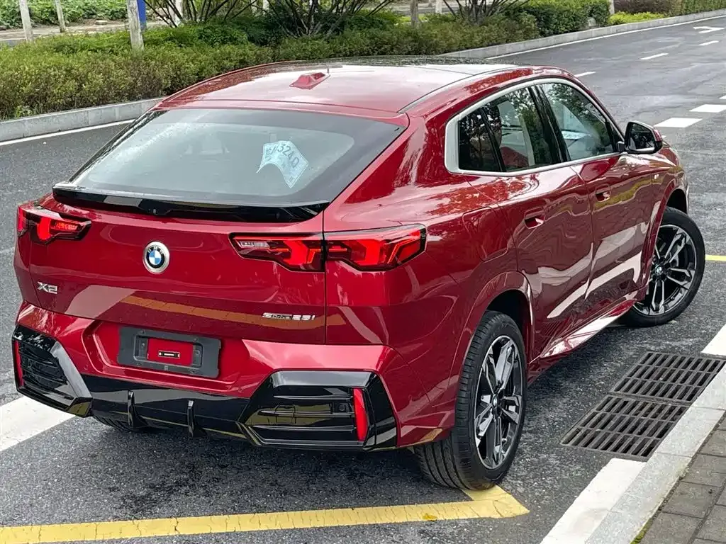 BMW X2 (Import) — фото 10
