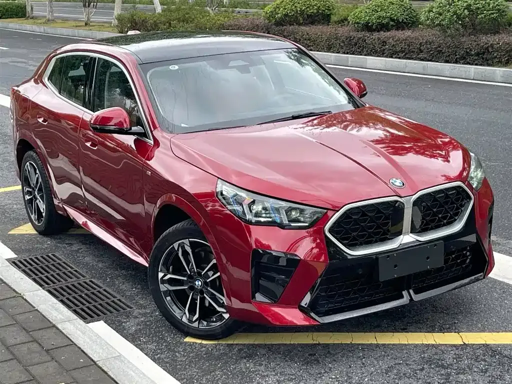 BMW X2 (Import) — фото 6