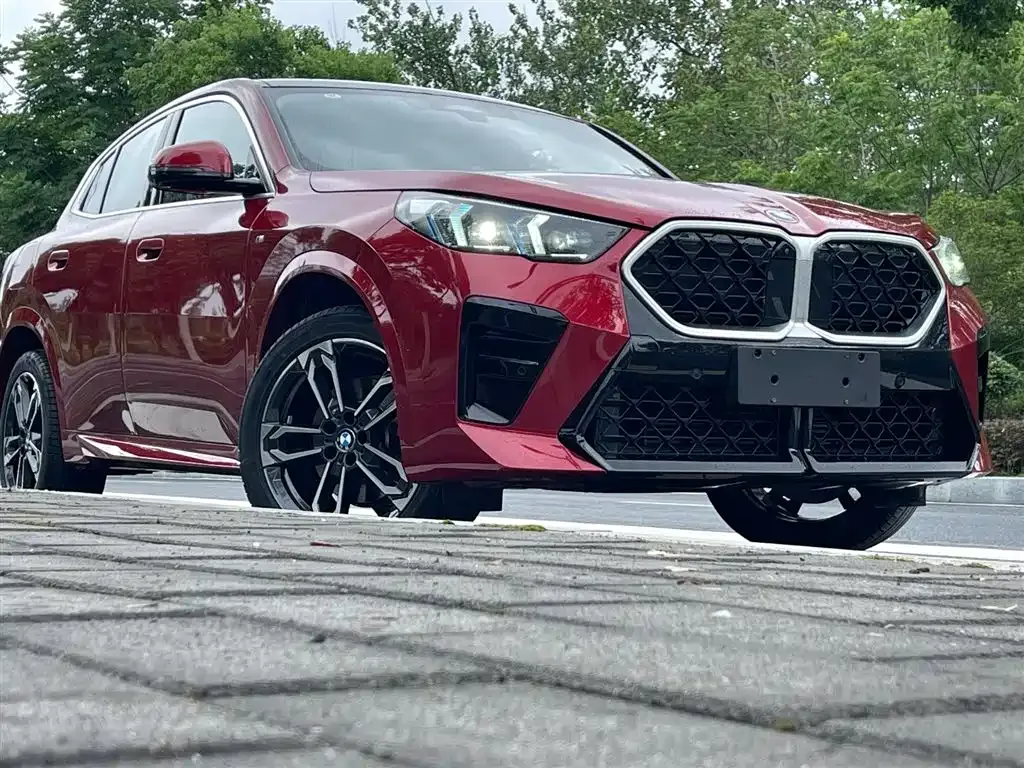BMW X2 (Import) — фото 2