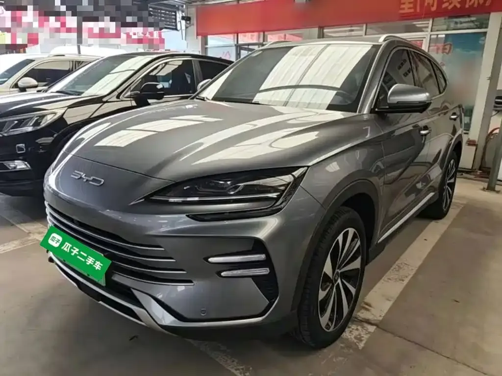 BYD PLUS New Energy — фото 1