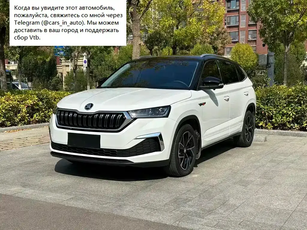 Skoda Kamiq — фото 1