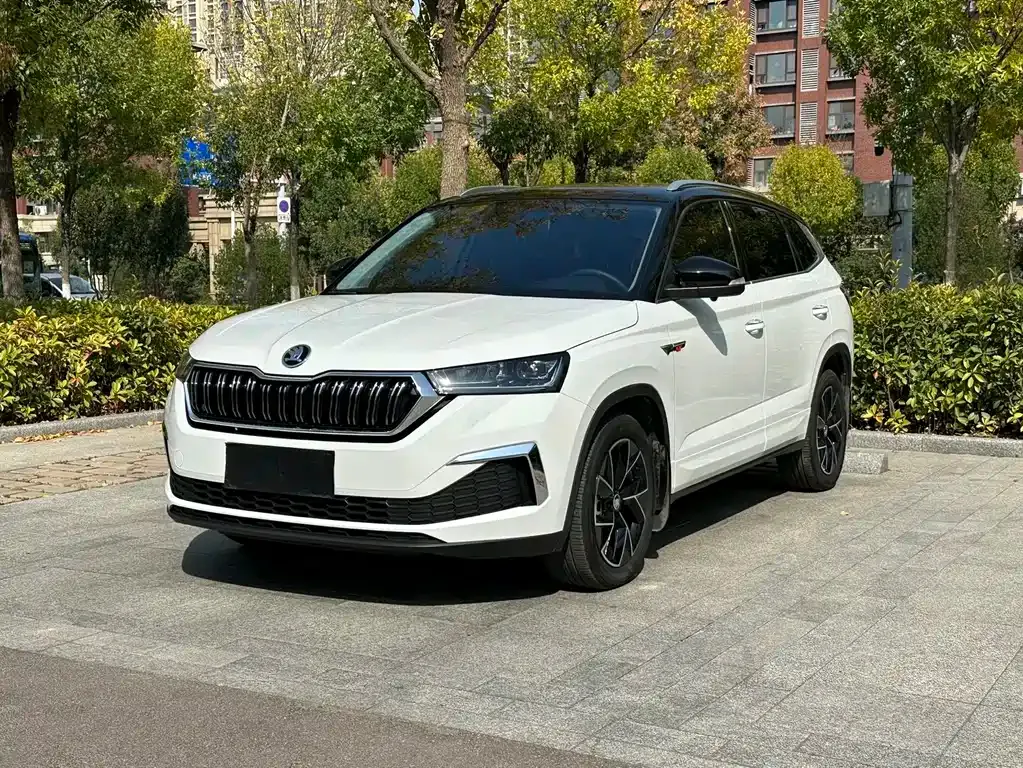 Skoda Kamiq — фото 5
