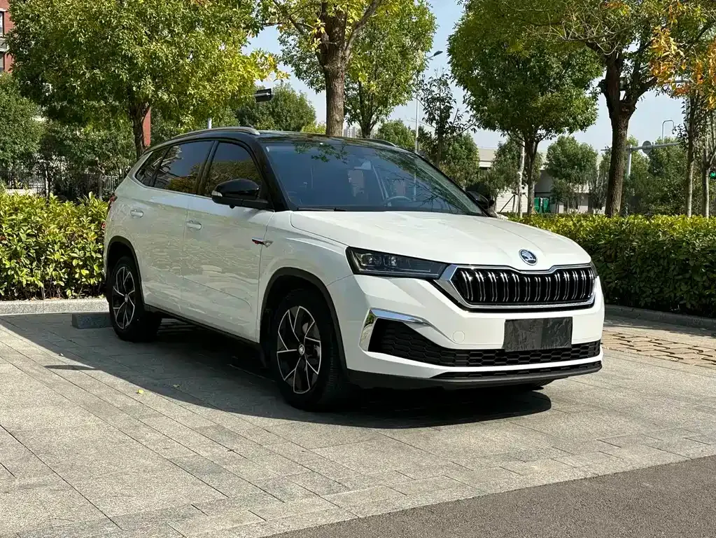 Skoda Kamiq — фото 3