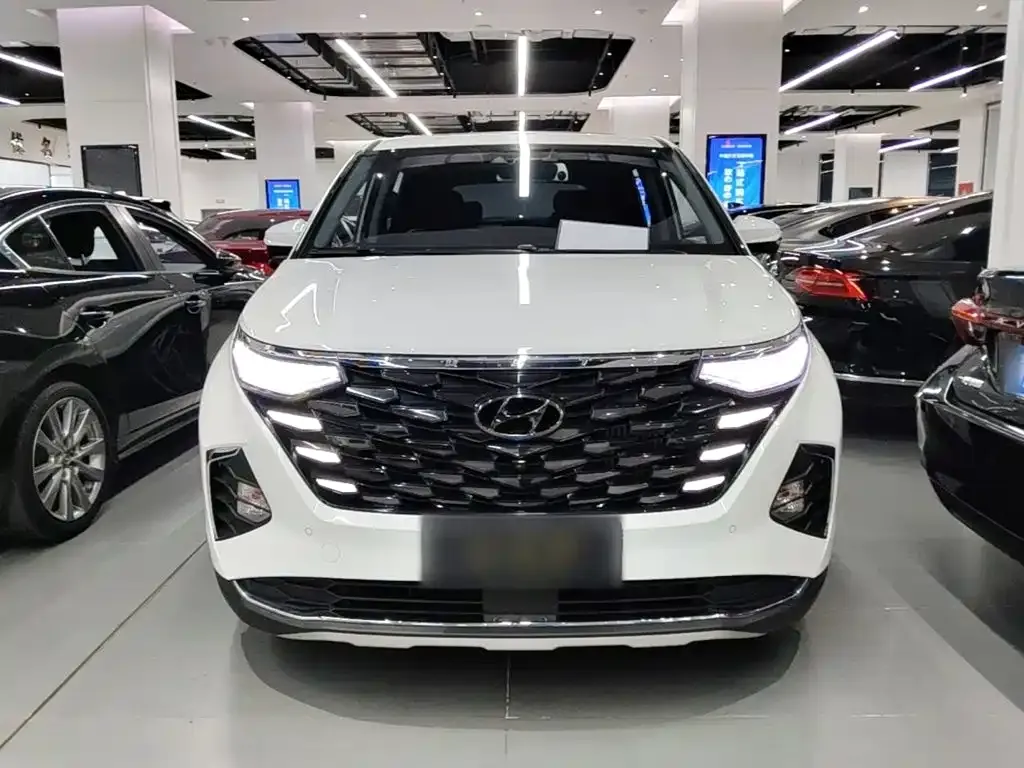 Hyundai Custo — фото 9