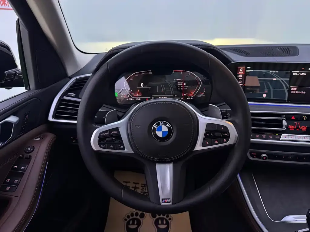 BMW X5 (Import) — фото 6