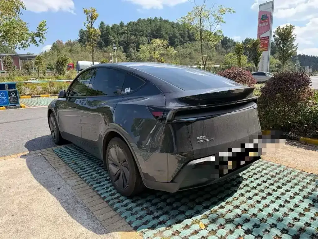 Tesla Model Y — фото 6
