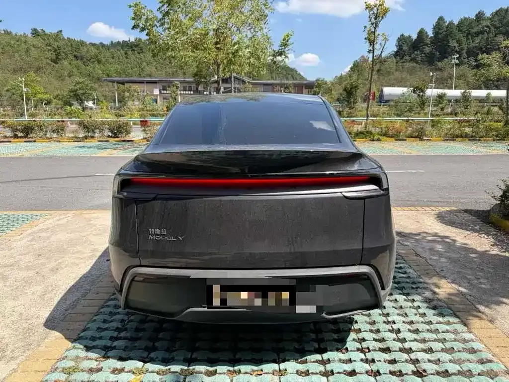 Tesla Model Y — фото 3