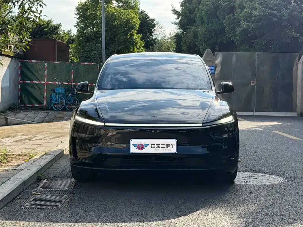 Tesla Model Y — фото 8