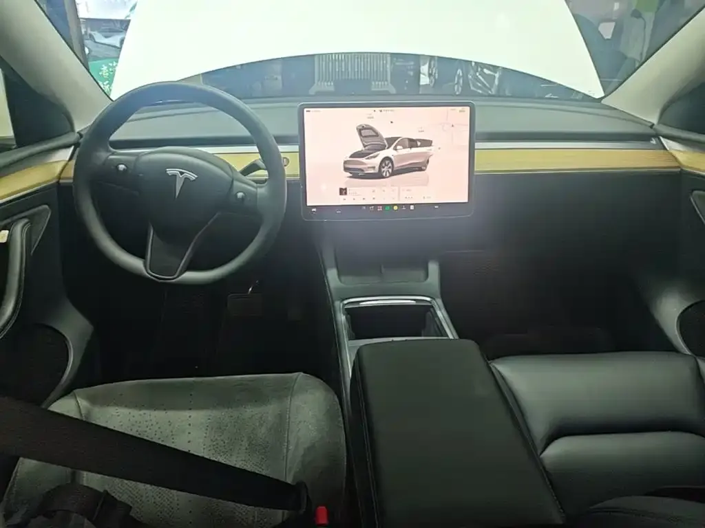 Tesla Model Y — фото 4
