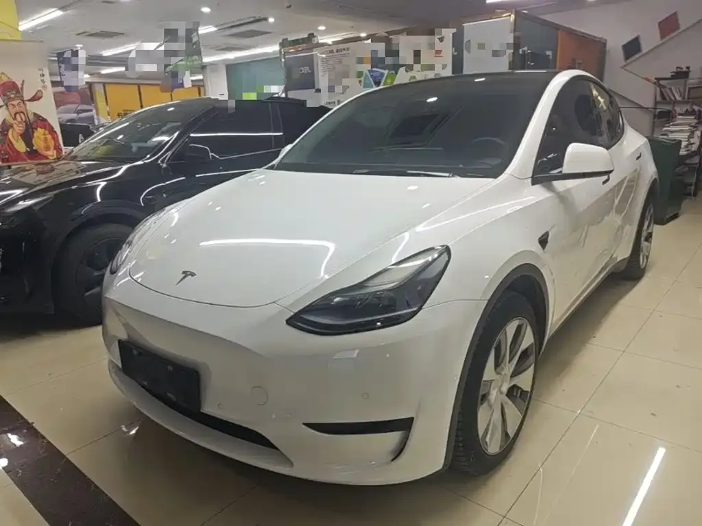 Tesla Model Y — фото 2