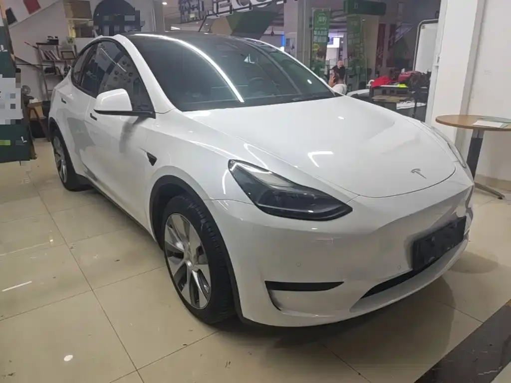 Tesla Model Y — фото 10