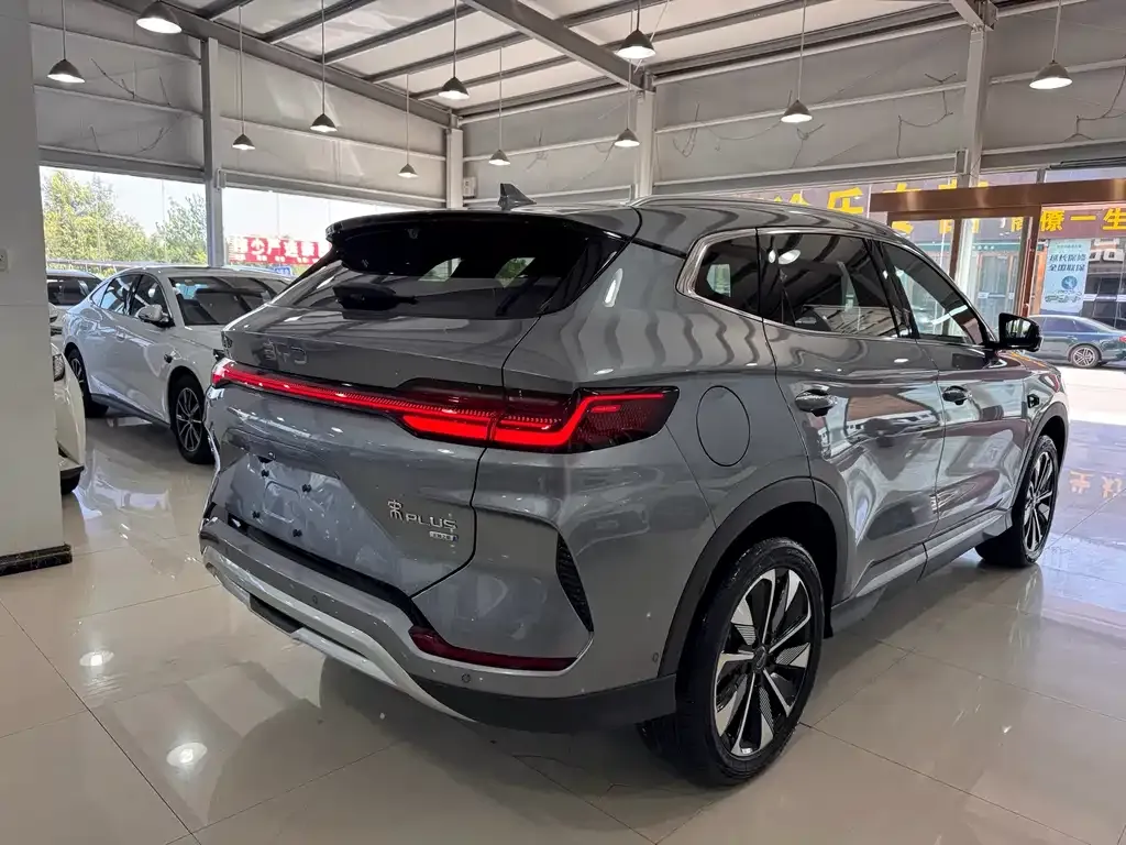 BYD PLUS New Energy — фото 9