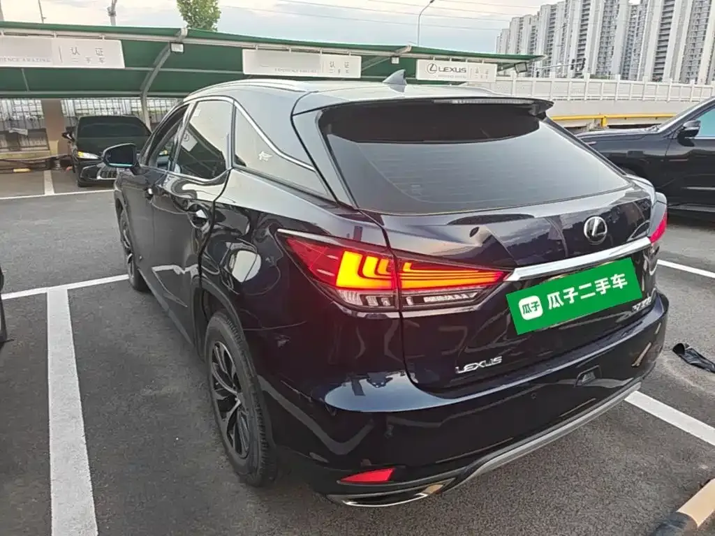 Lexus RX — фото 10