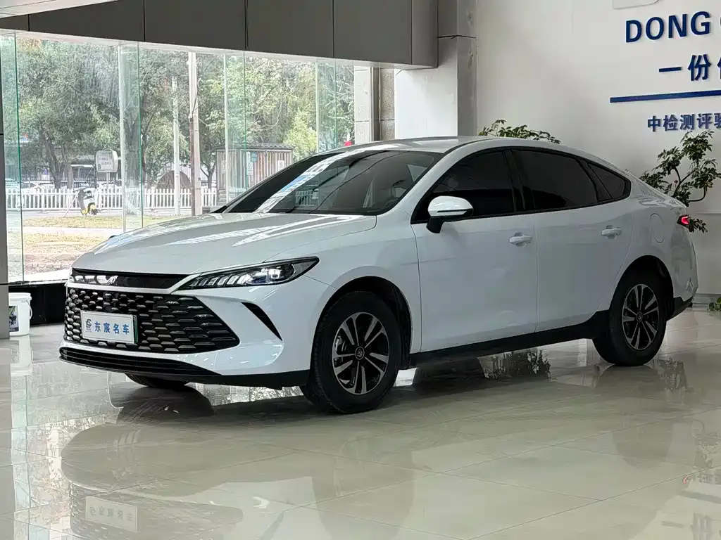 BYD Qin PLUS — фото 1