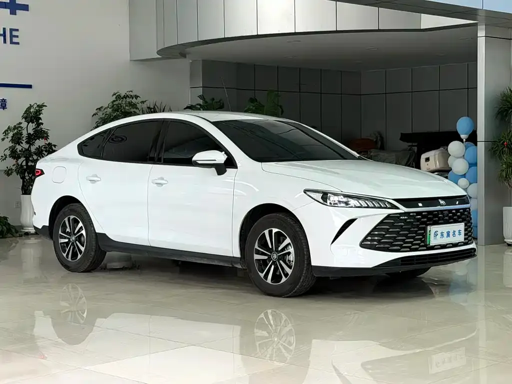 BYD Qin PLUS — фото 10