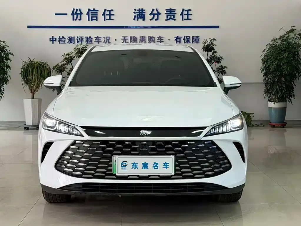 BYD Qin PLUS — фото 2