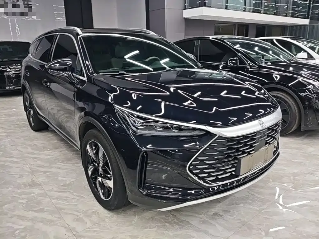 BYD Tang New Energy — фото 5