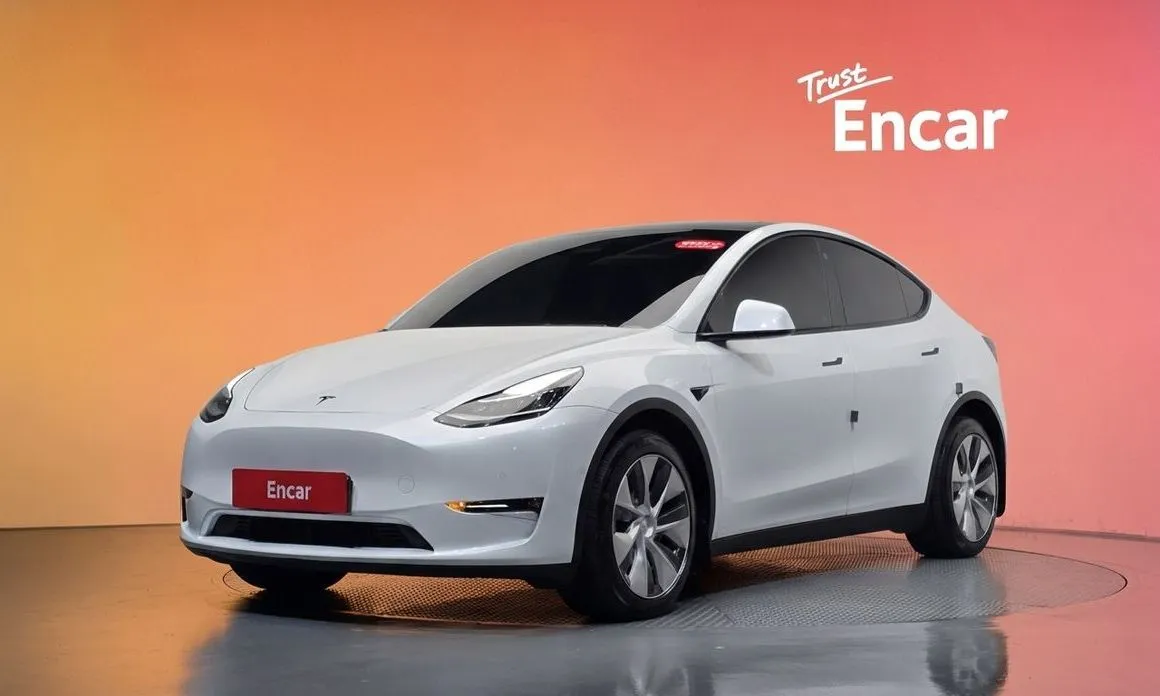 Tesla Model Y — фото 1